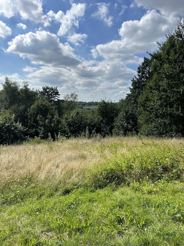 Naturschutzgebiet Mechtenberg