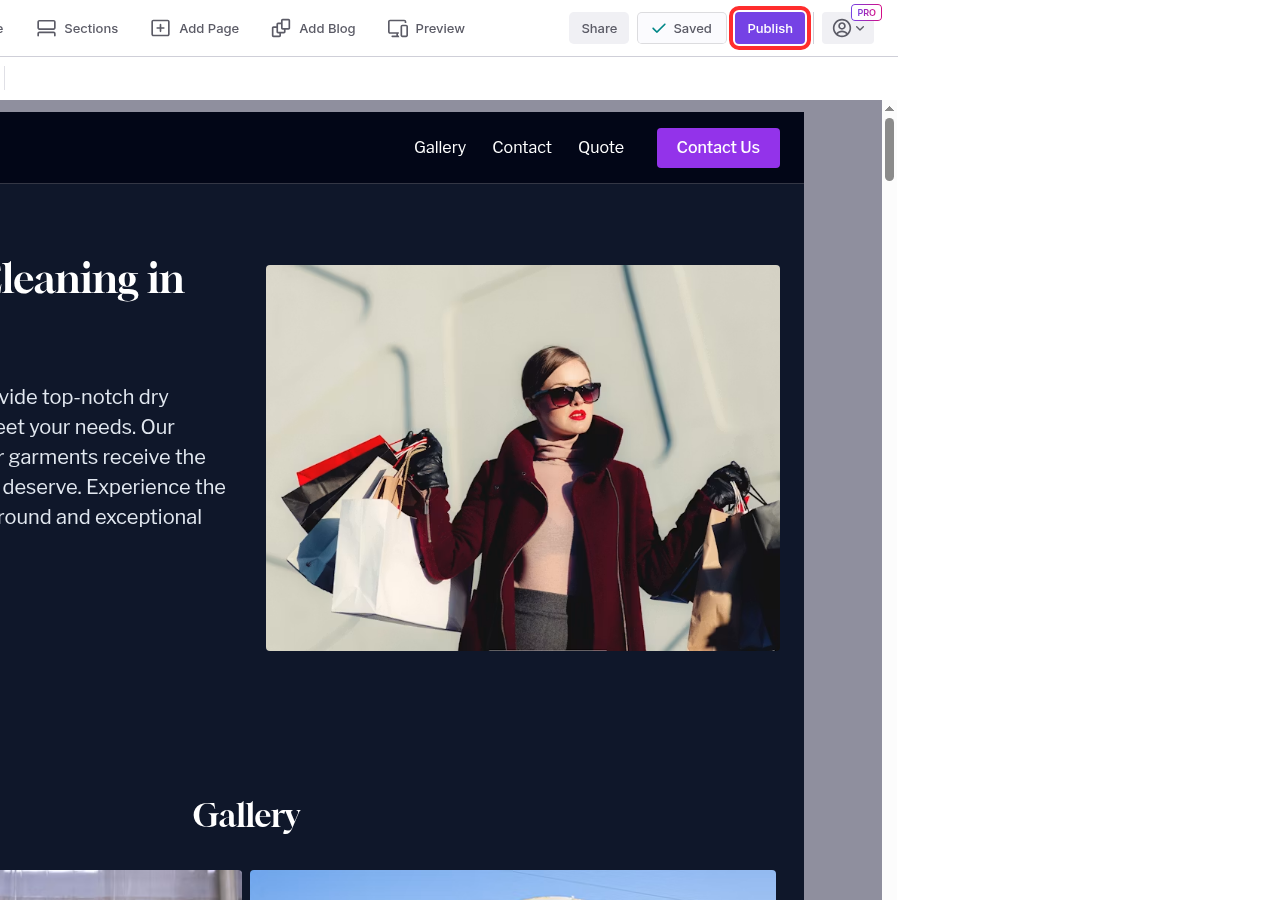 The Publish button highlighted in the designer toolbar