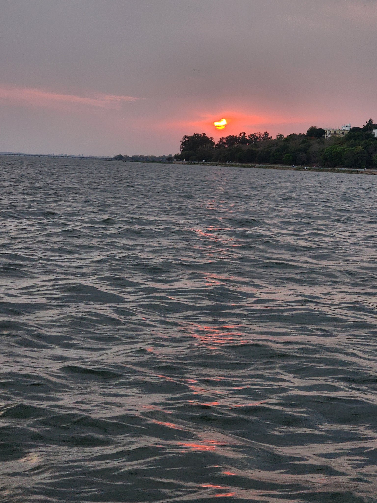 Bhopal's Aquatic Thrills: Adventure on the Lakes!