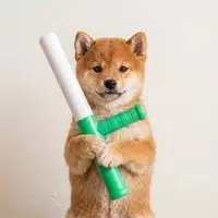 $BATON