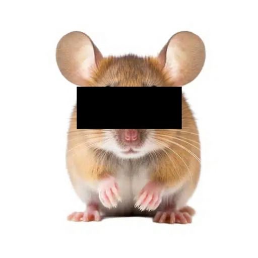 $Anonymouse