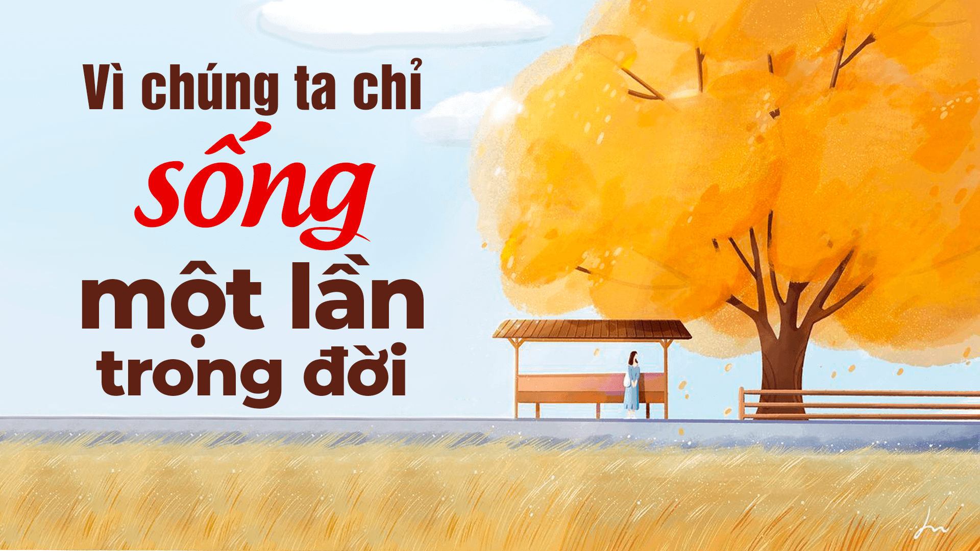 Vì chúng ta chỉ sống có một lần trong đời