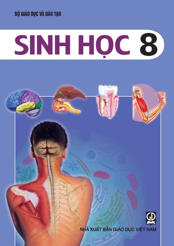 Sinh 12