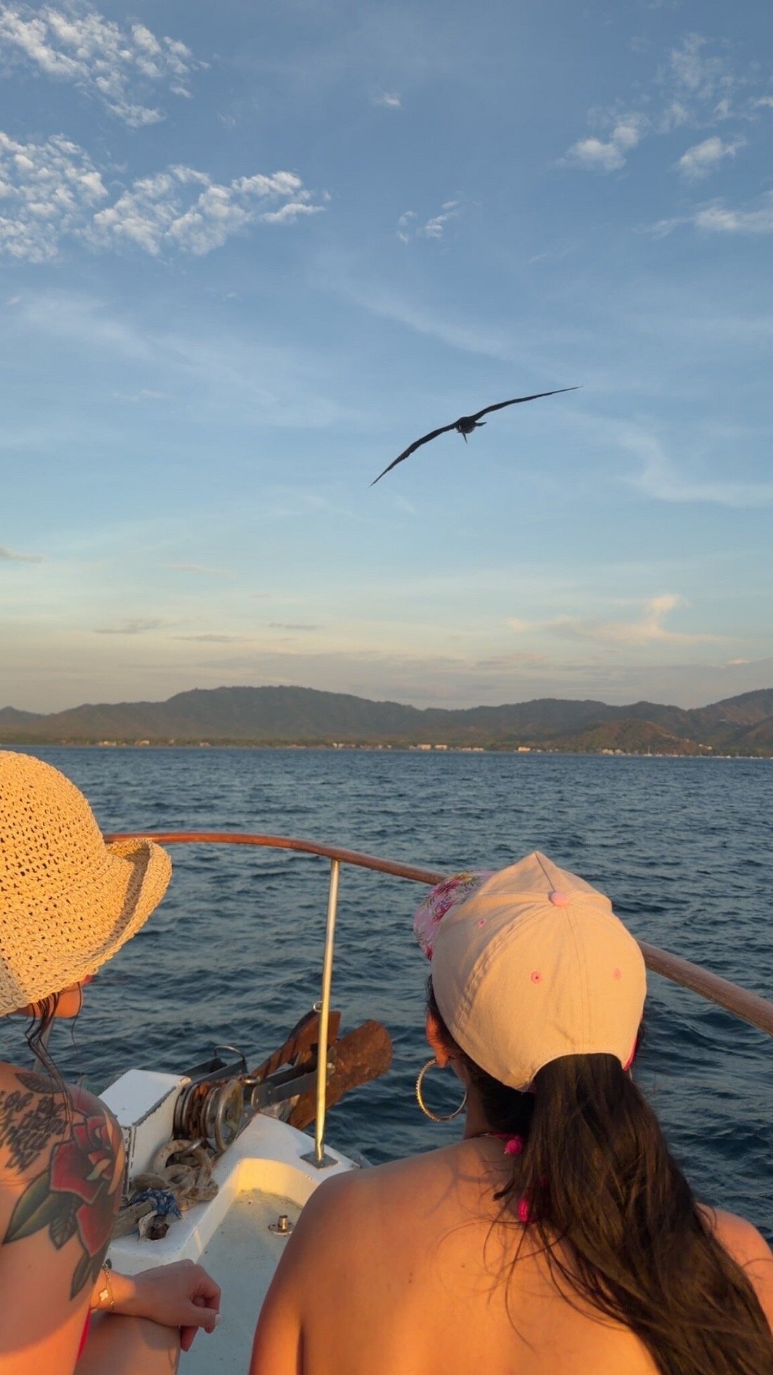 Guests watching a pelican fly overhead at sunset from the bow
