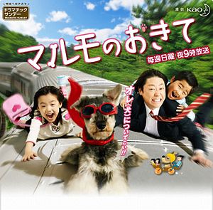 마루모의 규칙