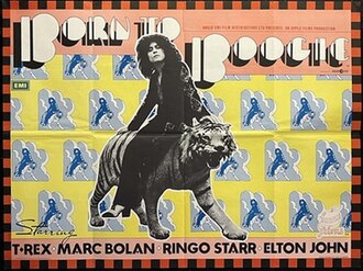 Born to Boogie