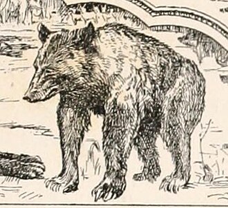 Baloo