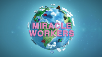 Miracle Workers