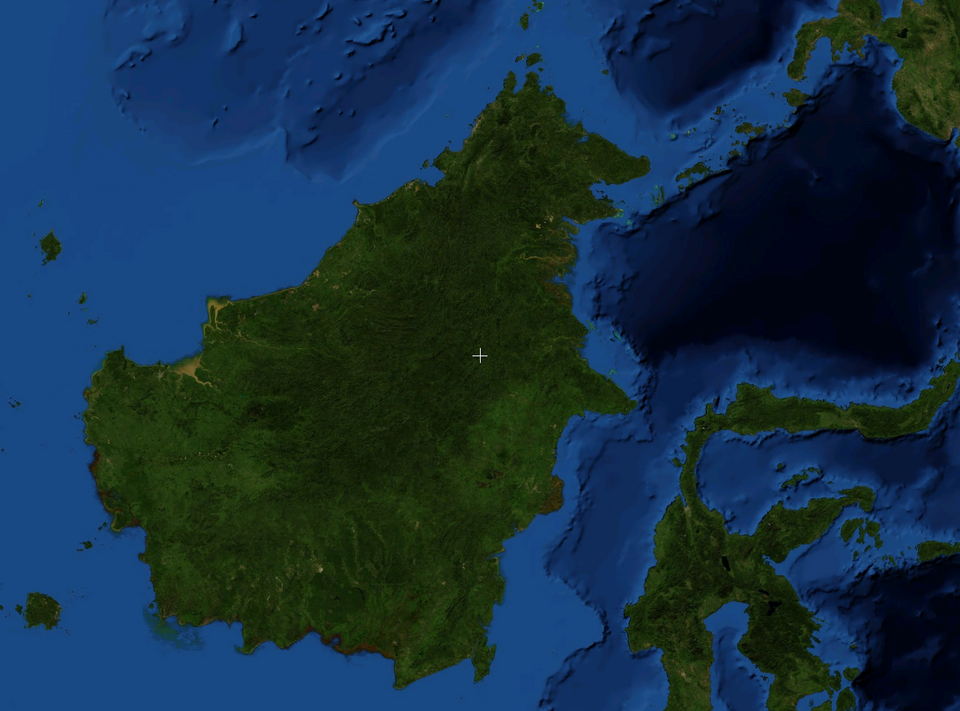 보르네오