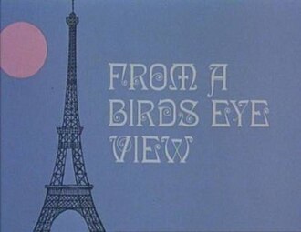 From a Bird's Eye View