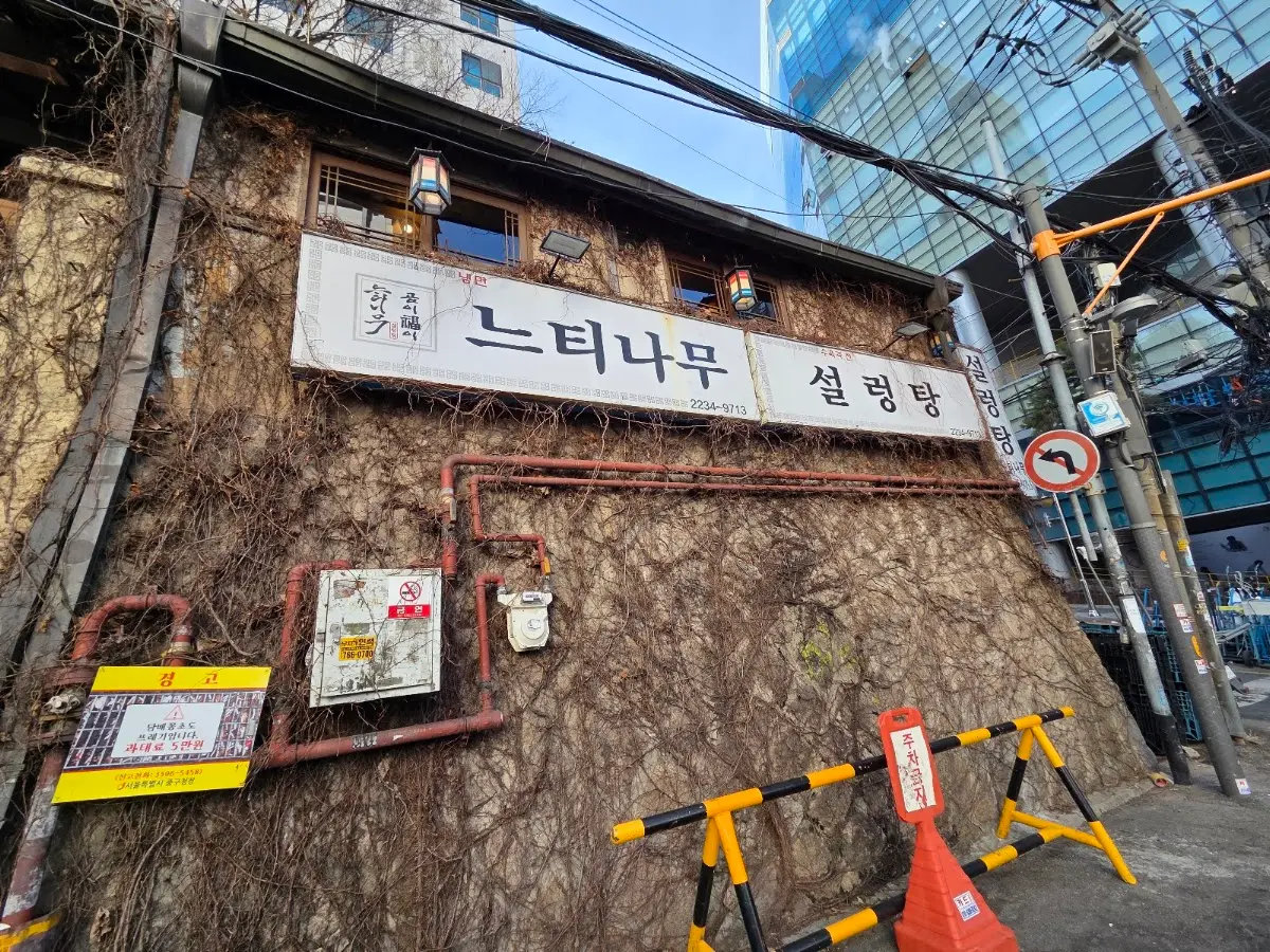 느티나무설렁탕 서울 중구 신당동