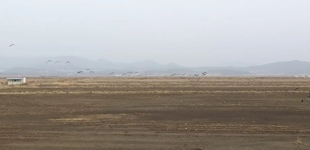 충청남도 서산시 부석면 새들만