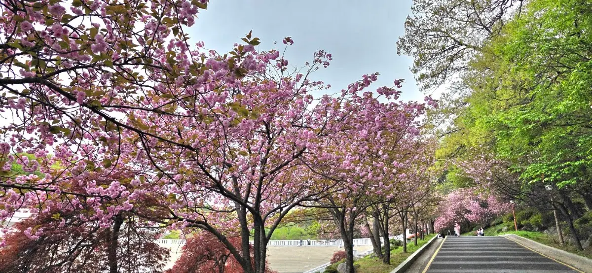 경희대학교 국제캠퍼스 노천극장