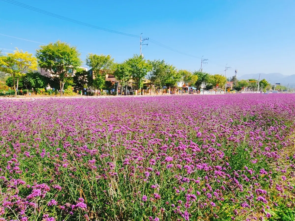 제천 모산비행장 충청북도 제천시