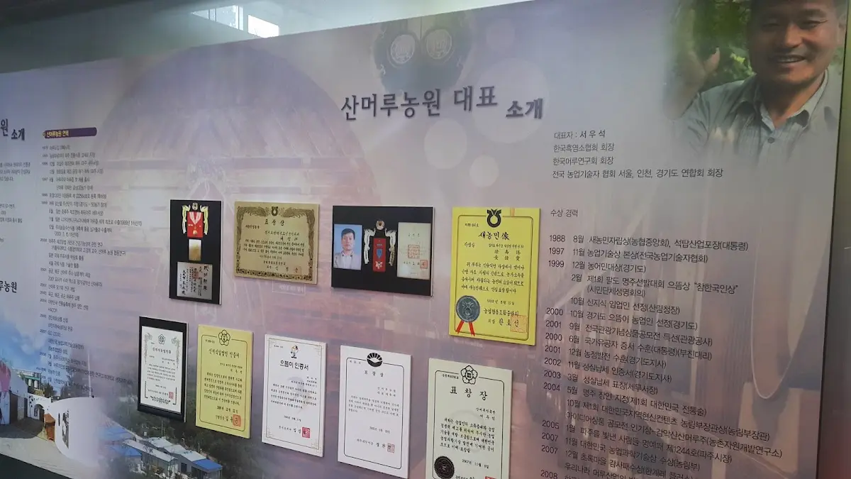 산머루농원 경기도 파주시 적성면 윗배우니길 441-25