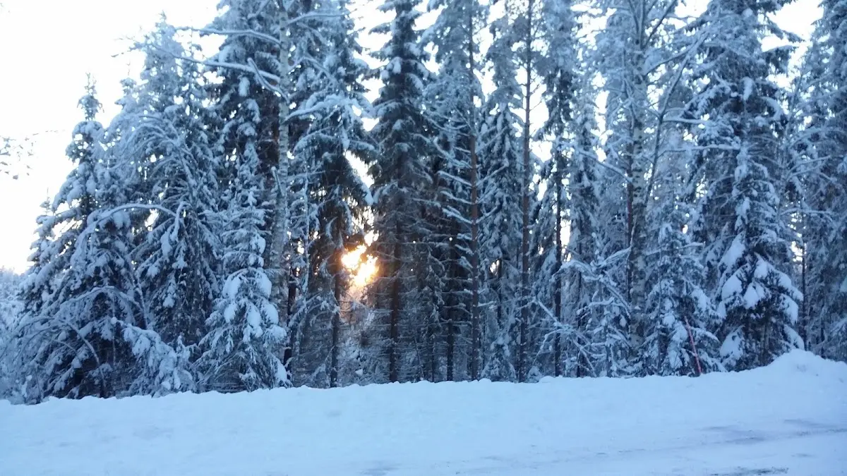 Vuokatti Sotkamo Kainuu Finland