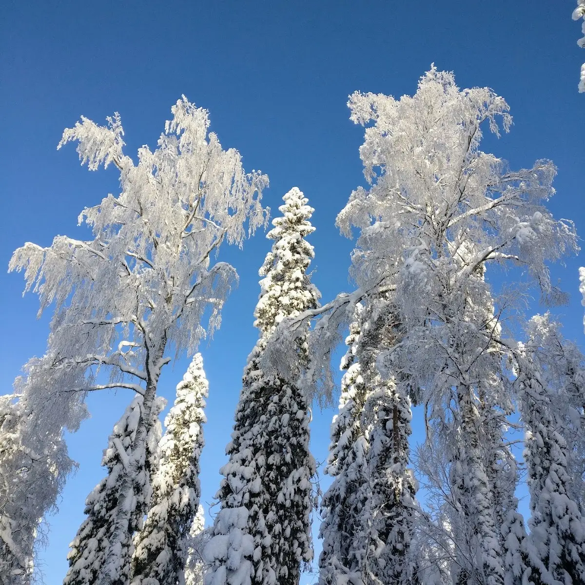 Vuokatti Sotkamo Kainuu Finland