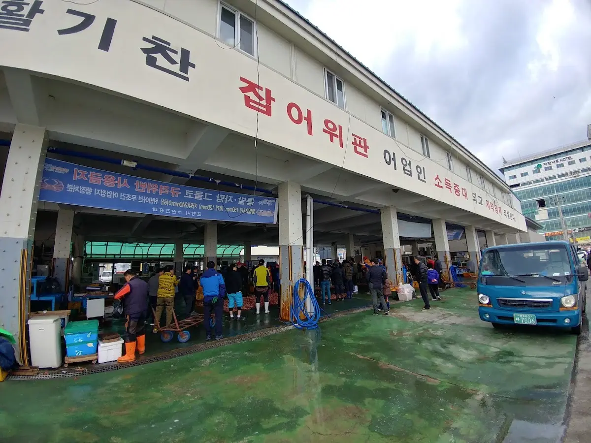 구룡포항 경북 포항시 남구 구룡포읍 구룡포리 954-2
