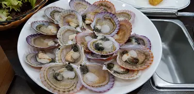 독도회센타