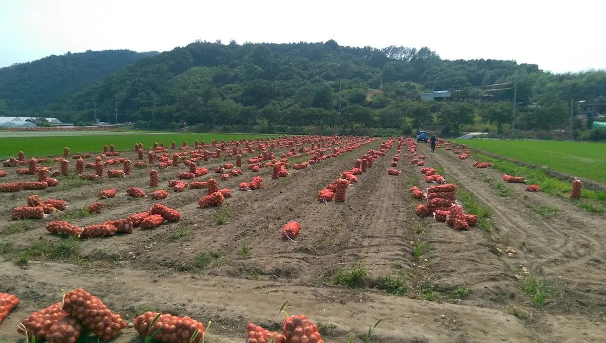 경남 합천군