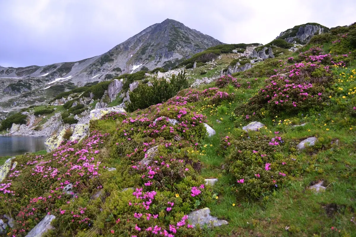 Retezat National Park, Romania