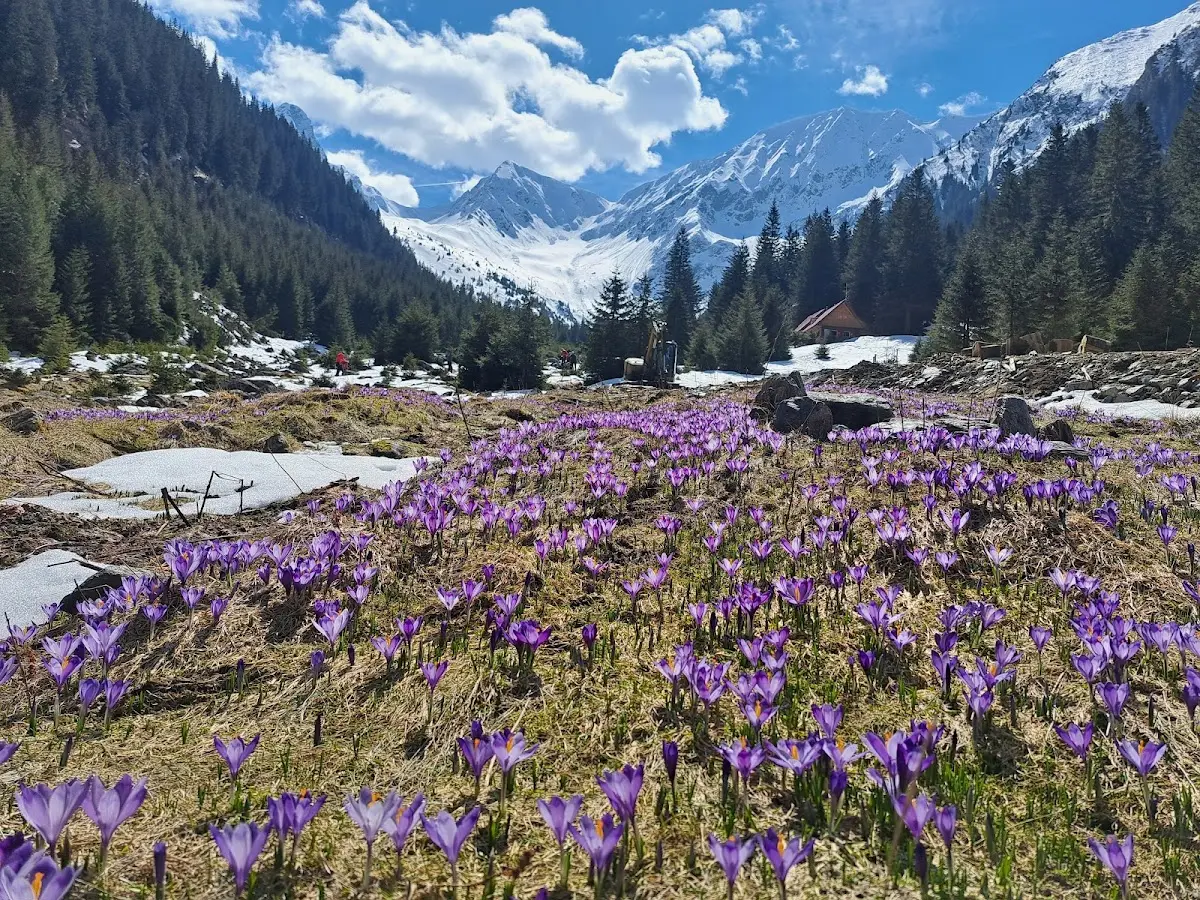 Valea Sambetei, Brasov, Romania
