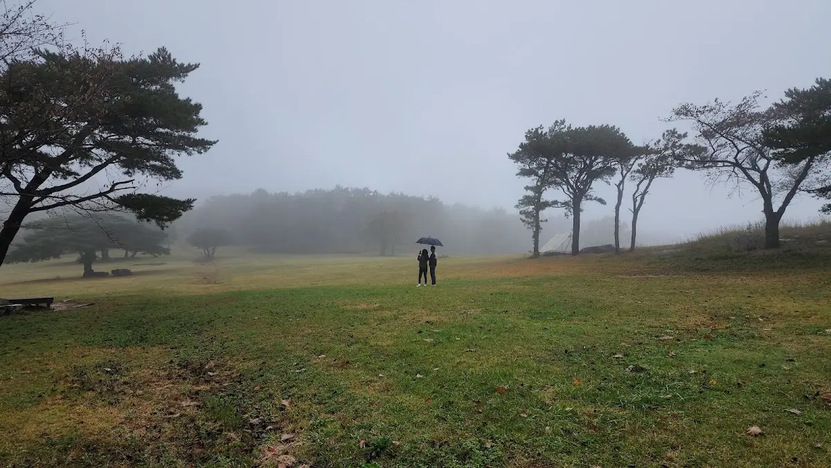 화랑의 언덕 경상북도 경주시 산내면 내일리 산261-2