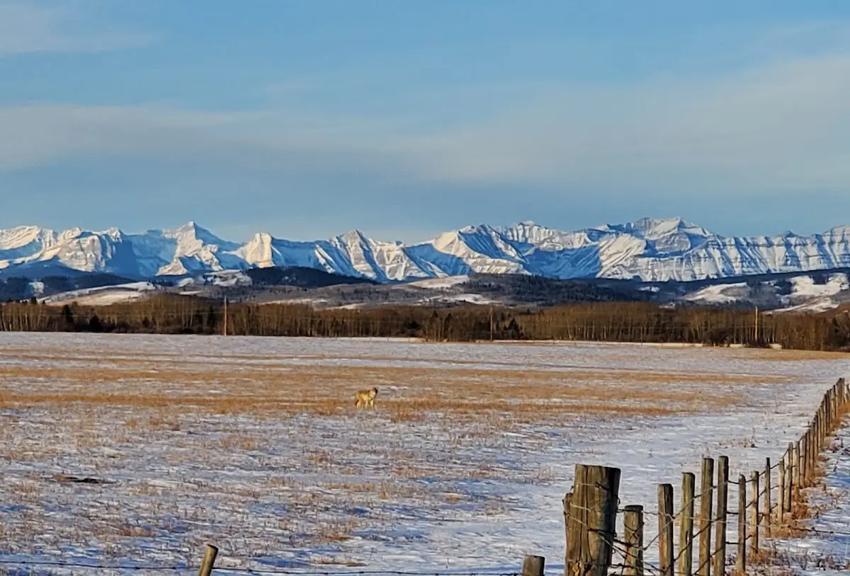 Longview Alberta Canada