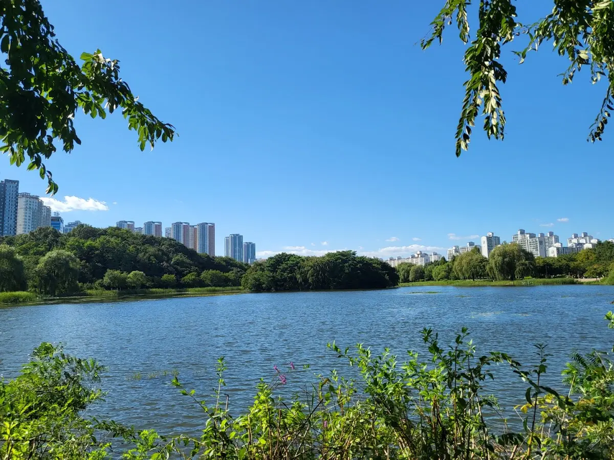 일산호수공원 경기 고양시 일산동구 호수로 595