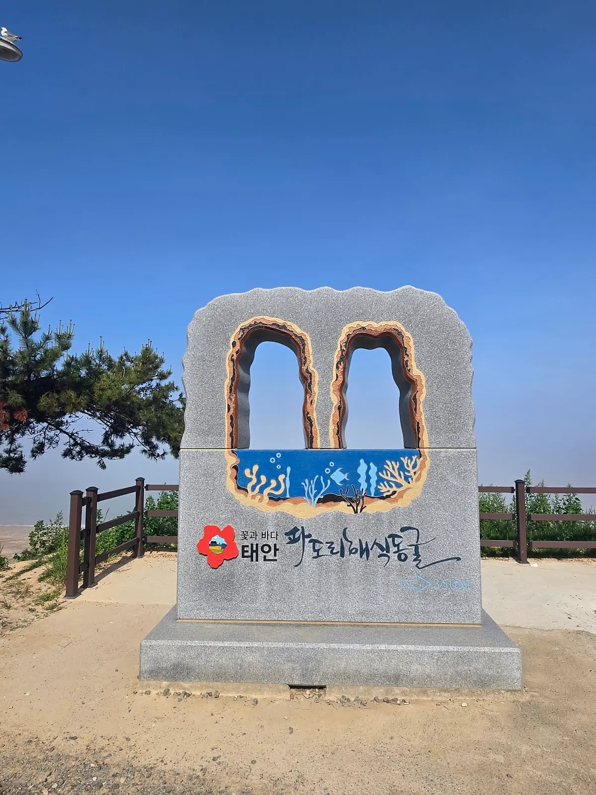 파도리 해식동굴 충남 태안군 소원면 파도리