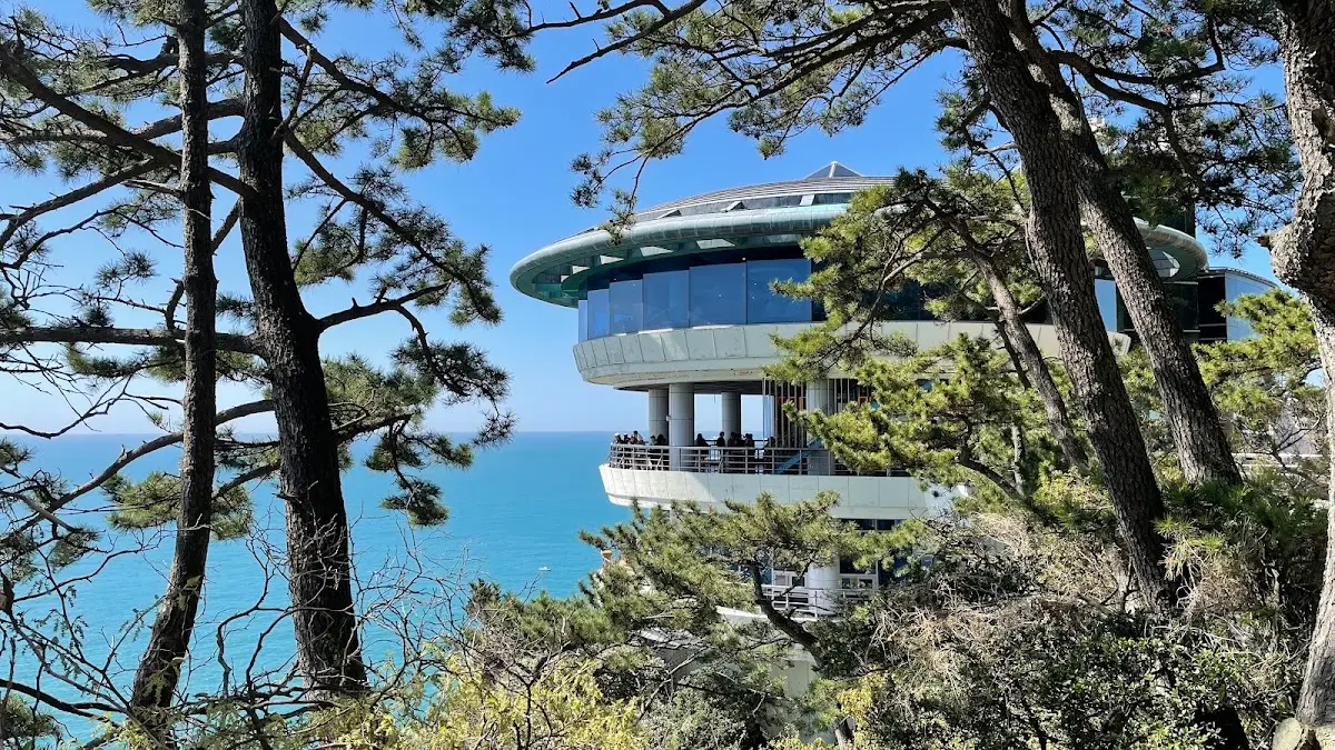 태종대 부산 영도구 전망로