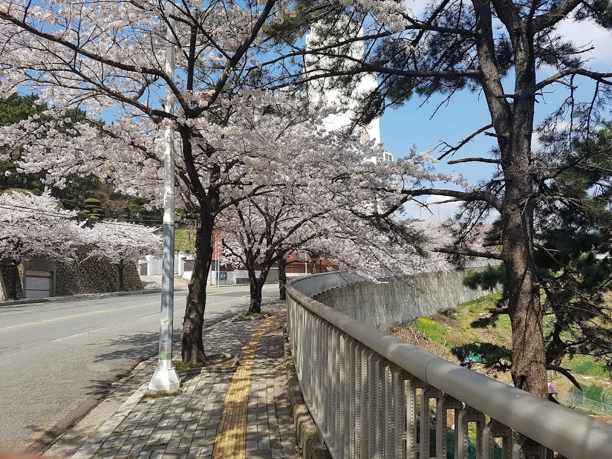 영도구청 부산 영도구 봉래동