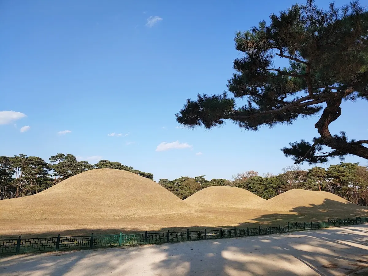 경주 오릉 경상북도 경주시 탑동 67-1