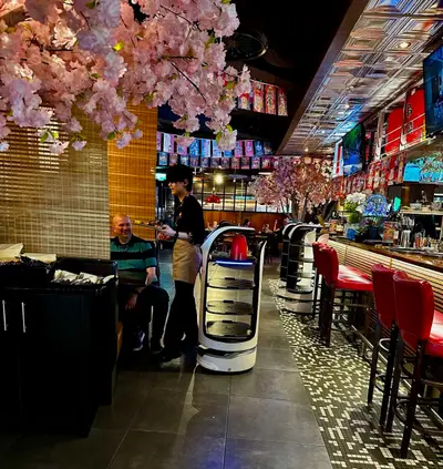 Fujiyama Dundrum Town Centre