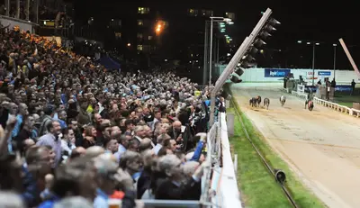 Shelbourne Park Greyhound Stadium