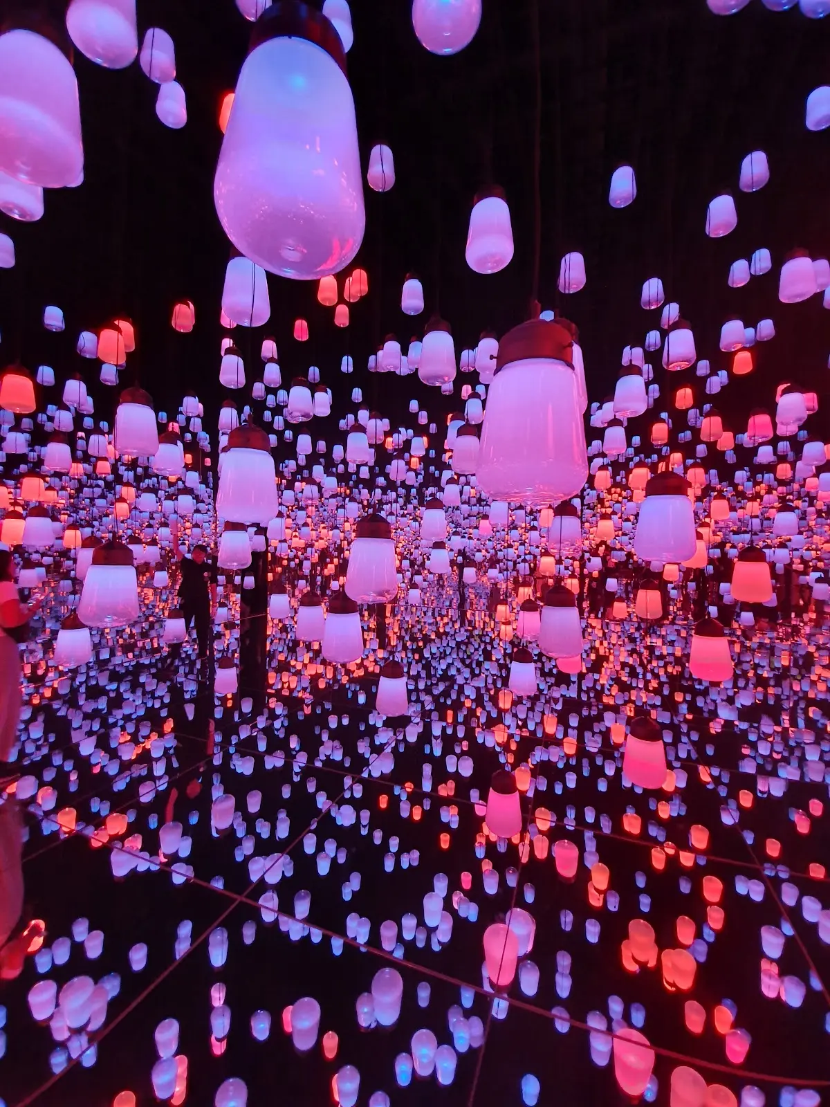 teamLab Borderless 麻布台ヒルズ 東京都港区麻布台