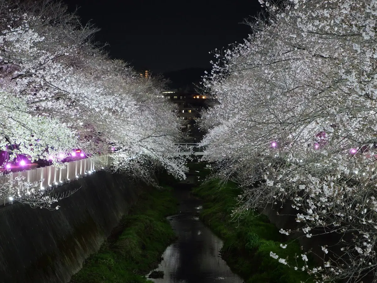 三沢川 堺橋 東京都稲城市