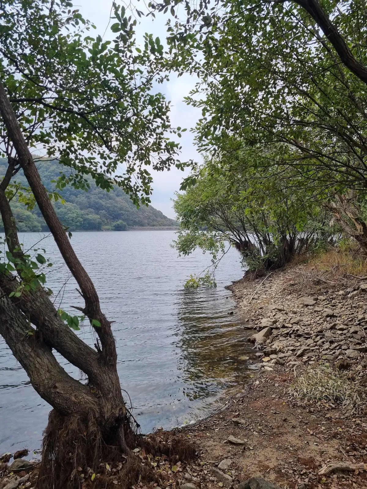 살목지 충청남도 예산군 덕산면 사동리