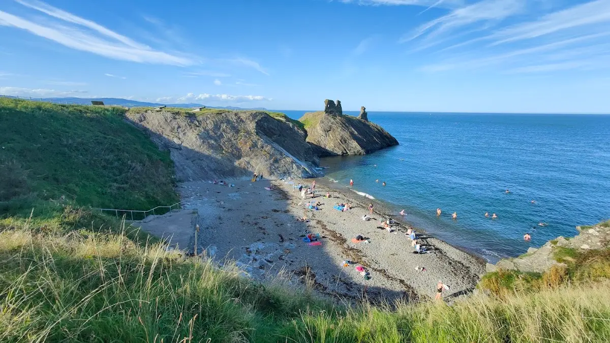 Travelahawk Beach Wicklow County Wicklow Ireland