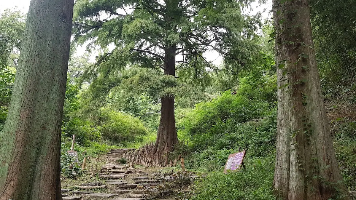 청하중학교 경상북도 포항시 북구 청하면 청하로151번길 26