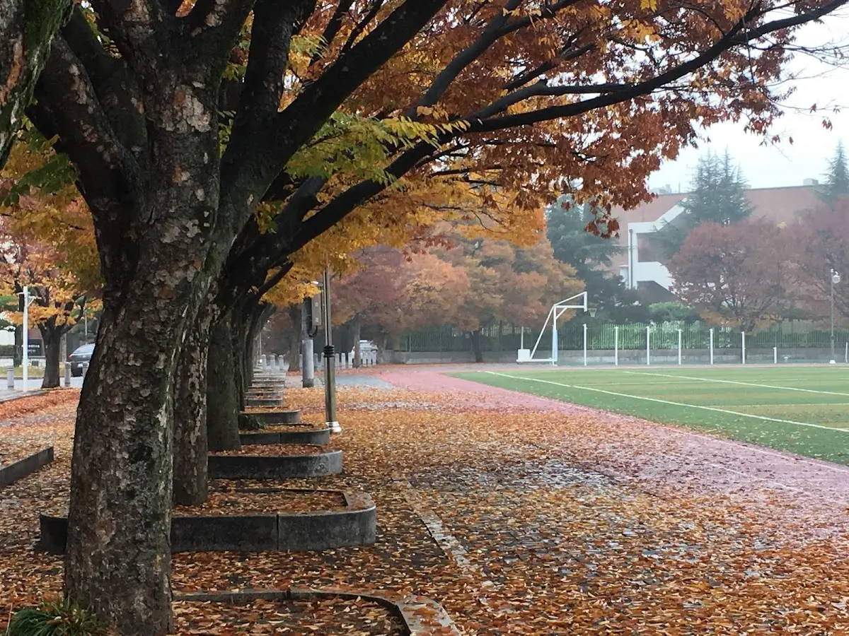 대구상원고등학교 대구광역시 달서구 월배로 241