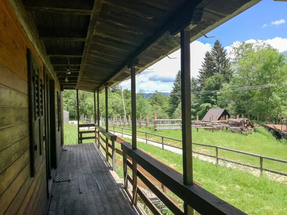Foresta del Cansiglio Veneto Italia