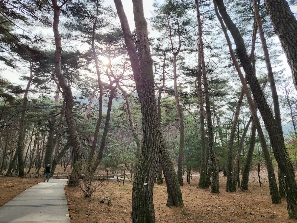 청령포 강원 영월군 남면 광천리