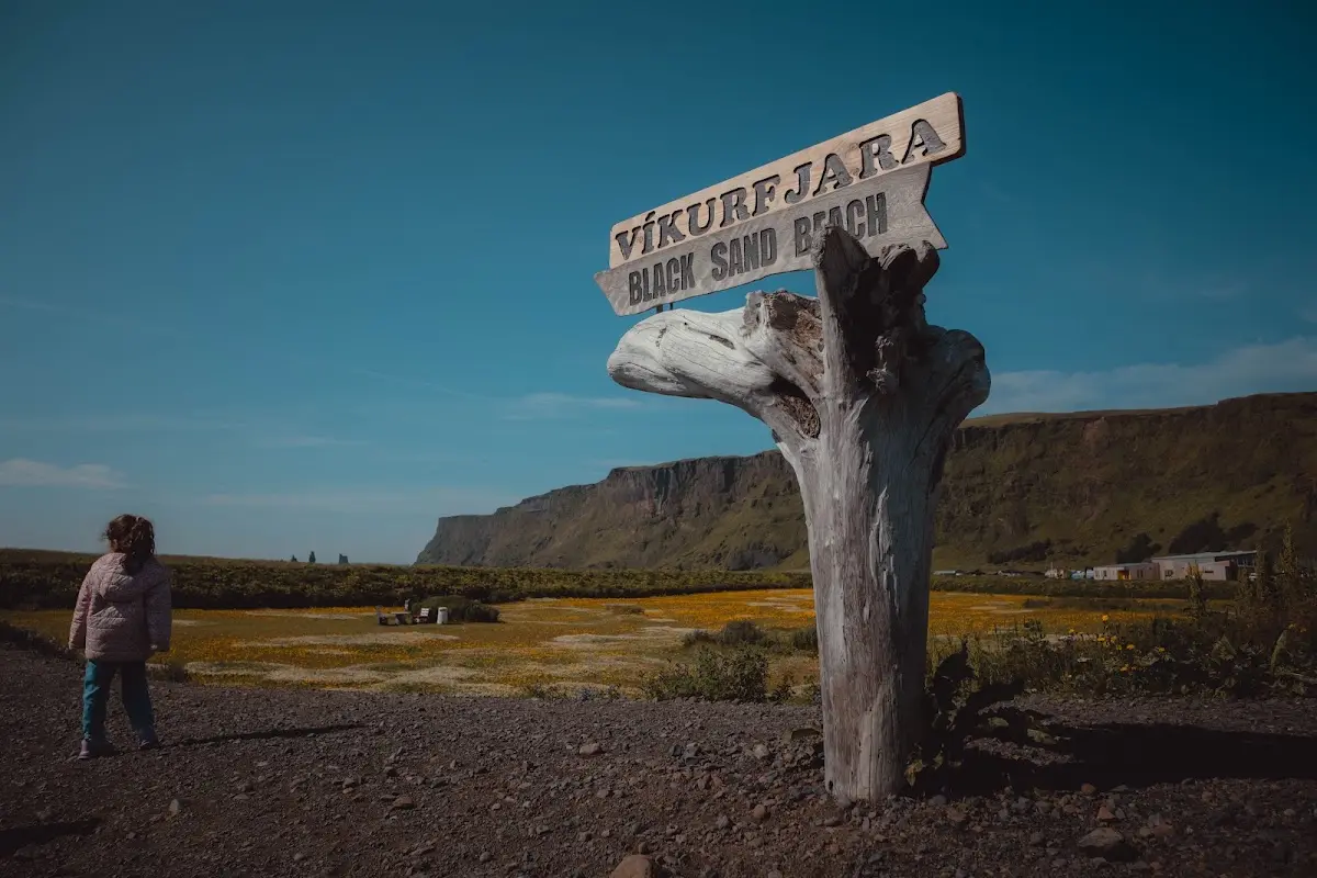 Snæfellsnes Peninsula Iceland black sand beach
