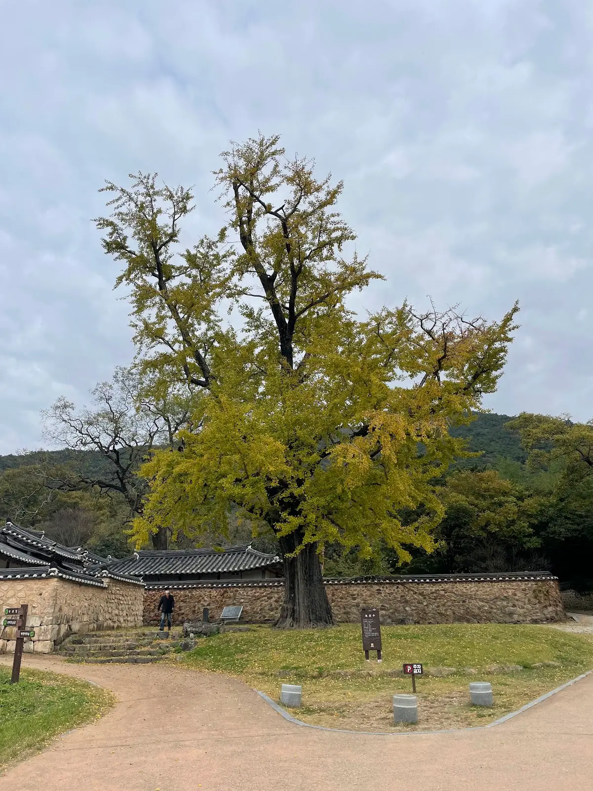 해남 윤씨 녹우당 전남 해남군 해남읍 녹우당길 135