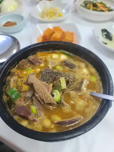 양지가든