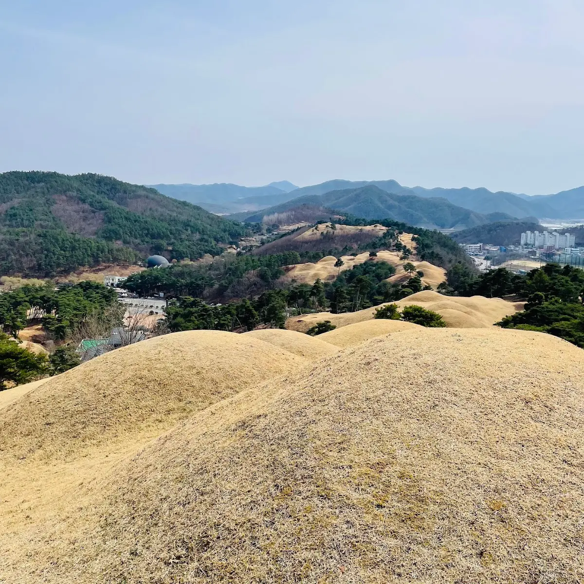 지산동고분군 경북 고령군 대가야읍 지산리