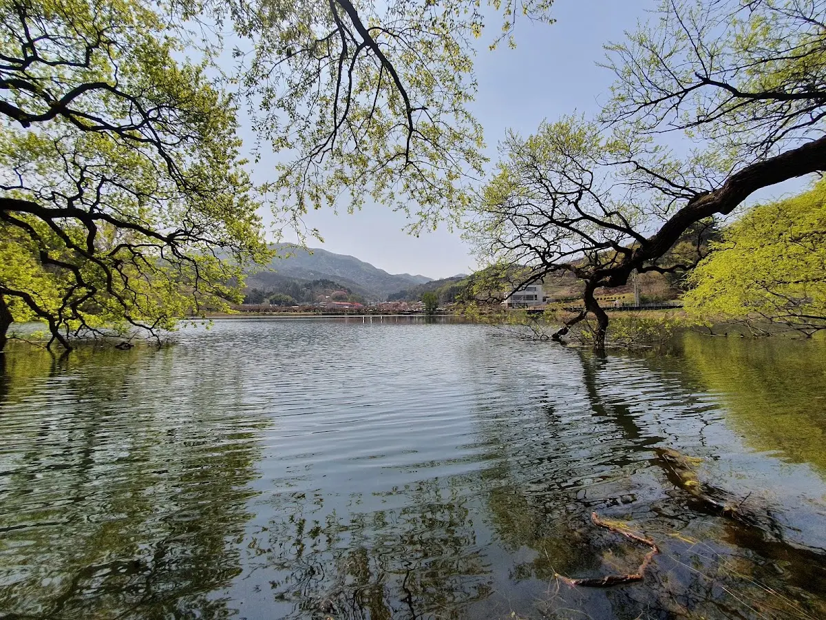 반곡지 경북 경산시 남산면 반곡리 246