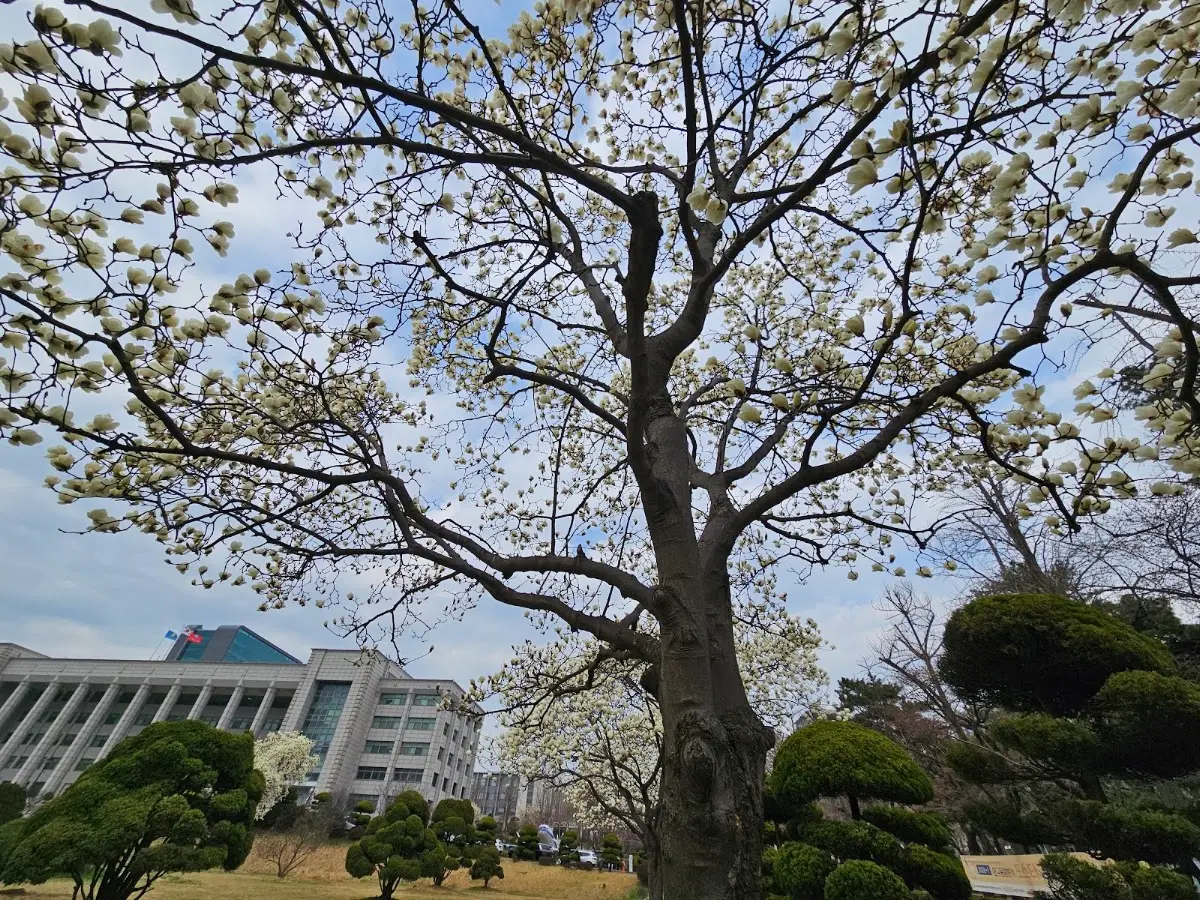 인하대학교 본관 인천광역시 미추홀구 인하로 100