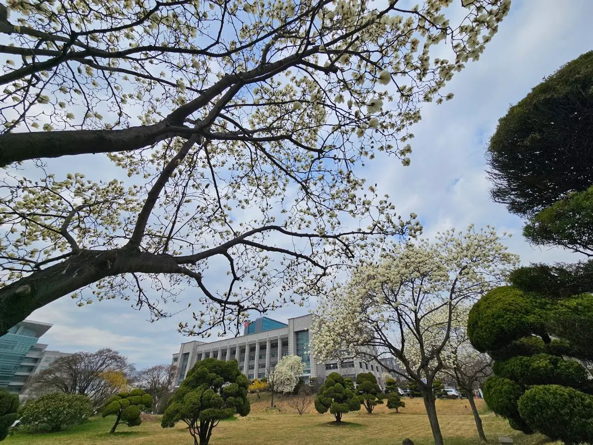 인하대학교 본관 인천광역시 미추홀구 인하로 100